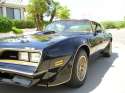 MY: 1978 Pontiac Trans Am Special Edition Y88 WS6